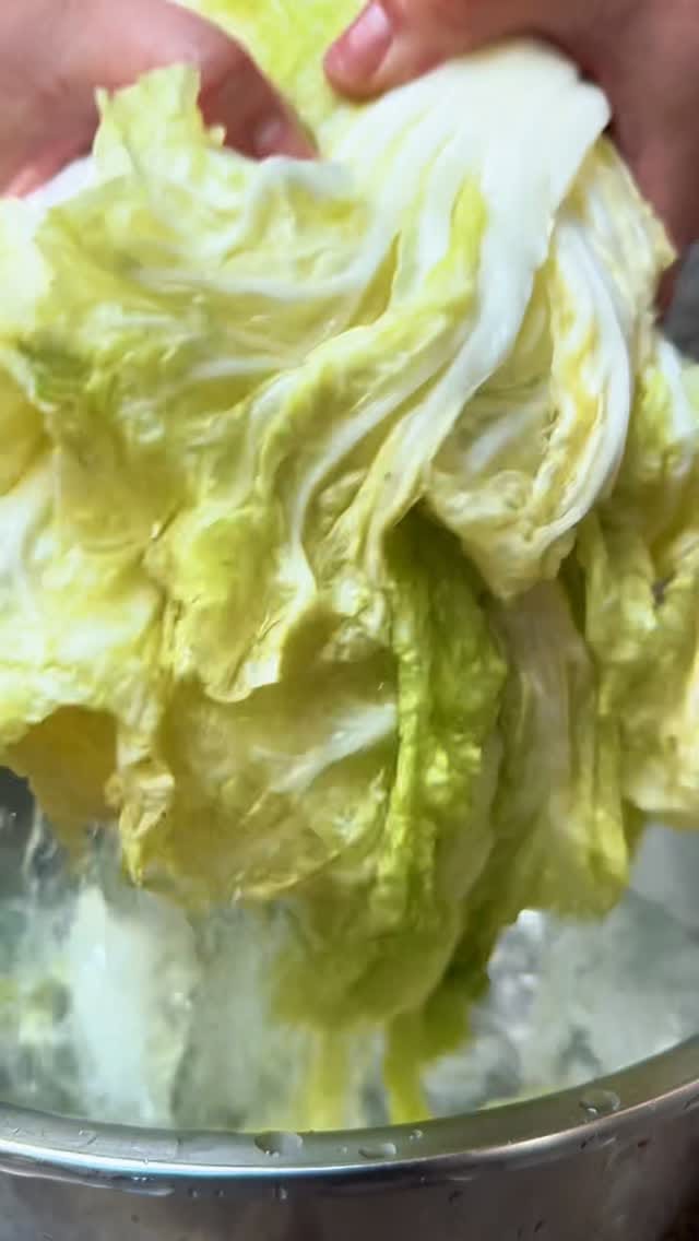 Post 5 by MaojiMini on Instagram (video)