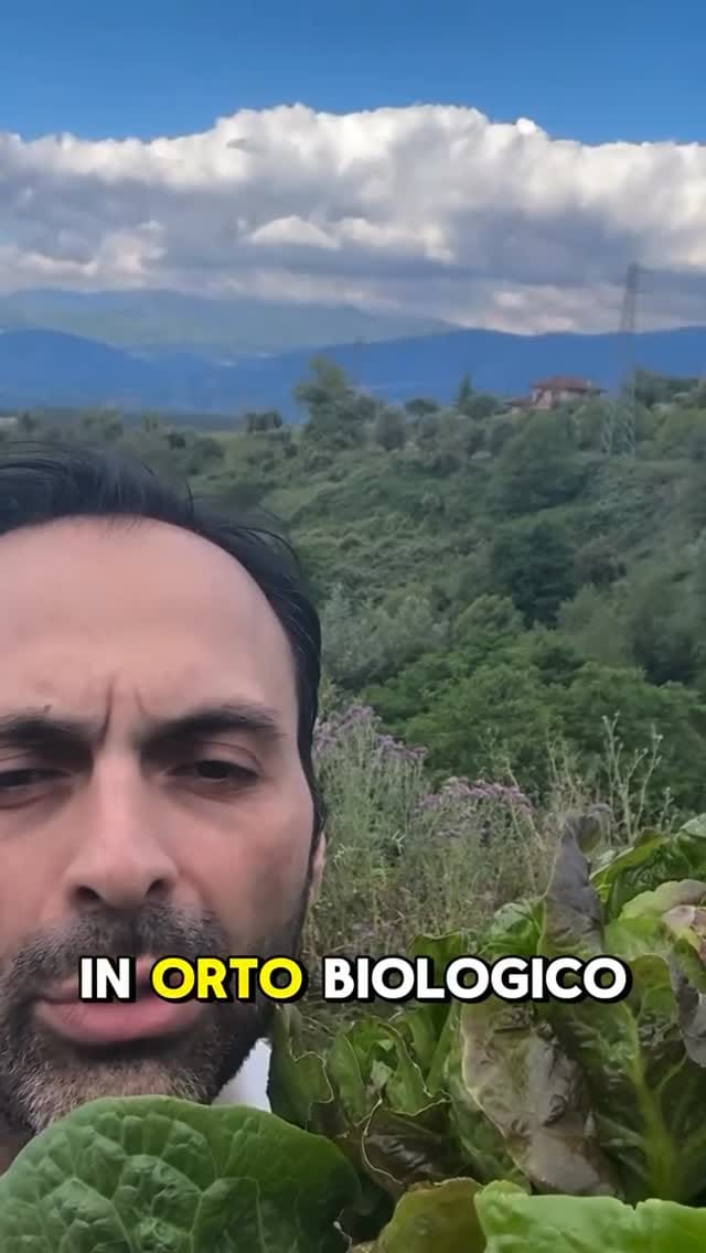 Post 4 by Italian Food & Wine on Instagram (video)