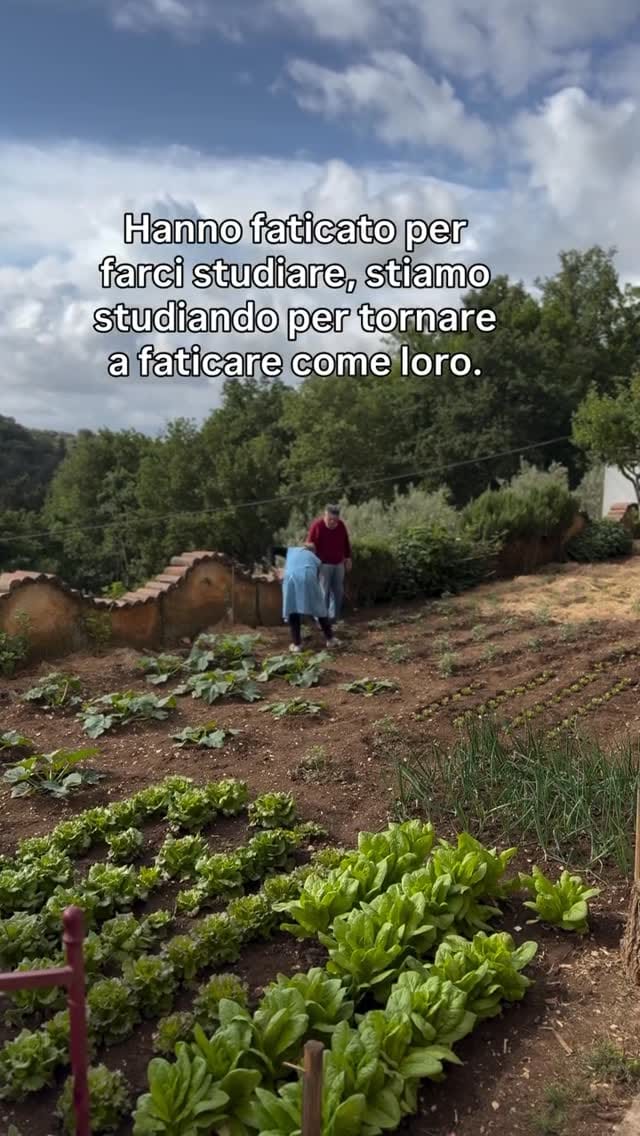 Post 6 by Italian Food & Wine on Instagram (video)