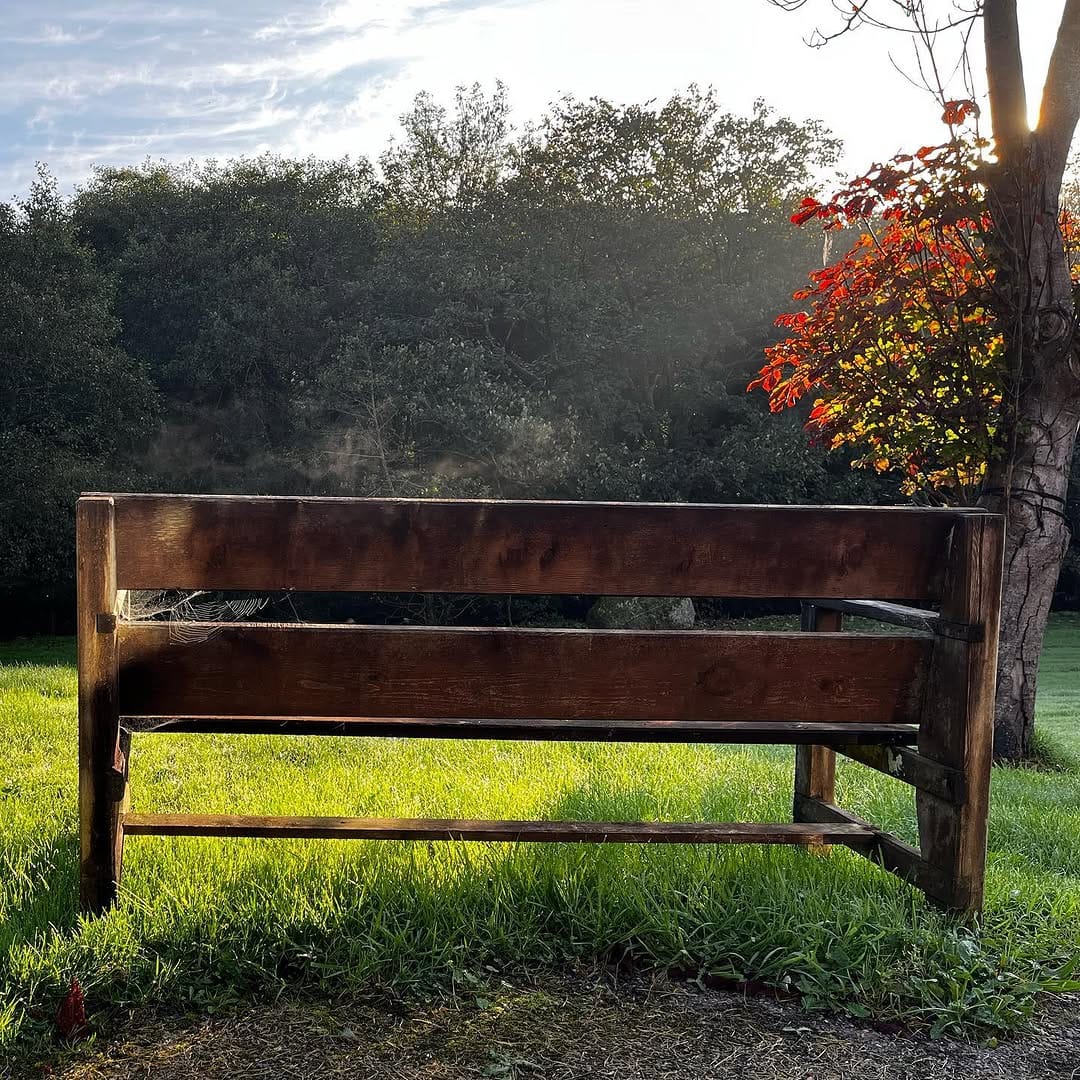 Post 9 by Blue Muse Productions on Instagram (image)