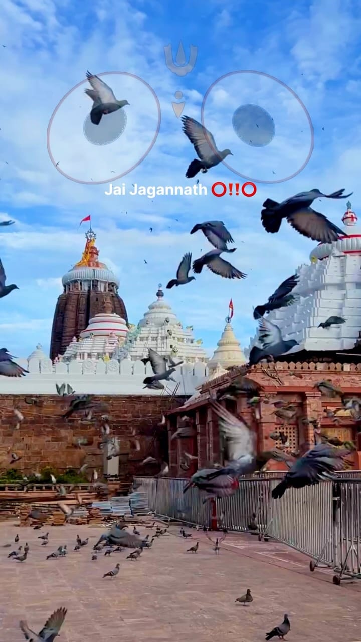 Post 6 by Bipradev Roy | Kolkata | Photo | Video on Instagram (video)