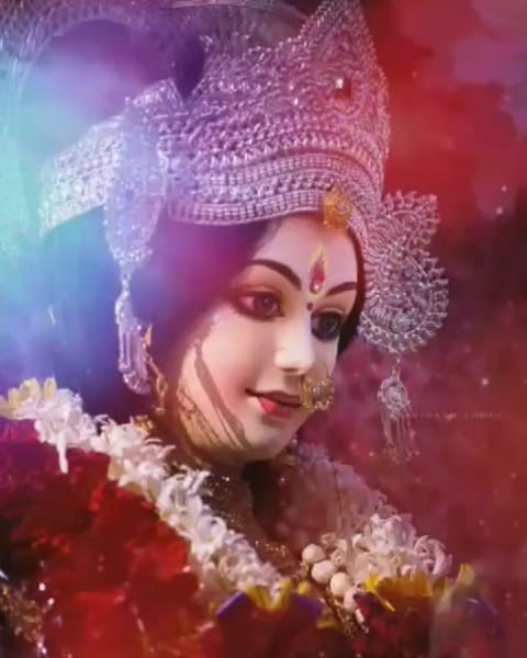 Post 9 by Avinash Lodhi's FAN CLUB on Instagram (video)