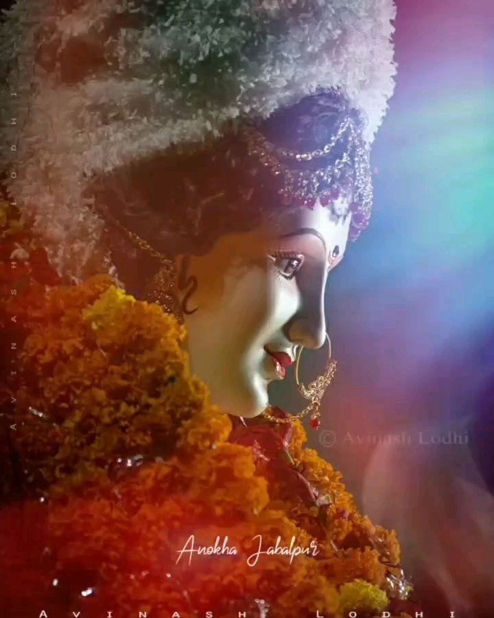 Post 10 by Avinash Lodhi's FAN CLUB on Instagram (video)