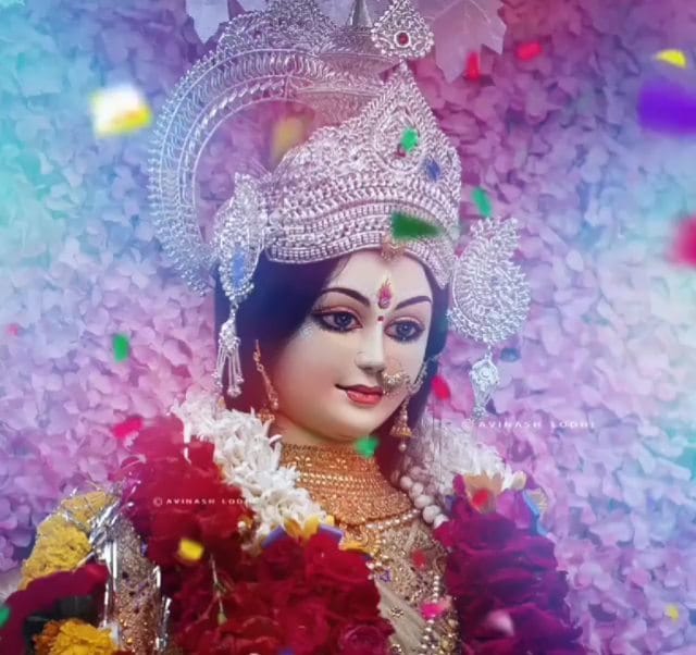 Post 8 by Avinash Lodhi's FAN CLUB on Instagram (video)