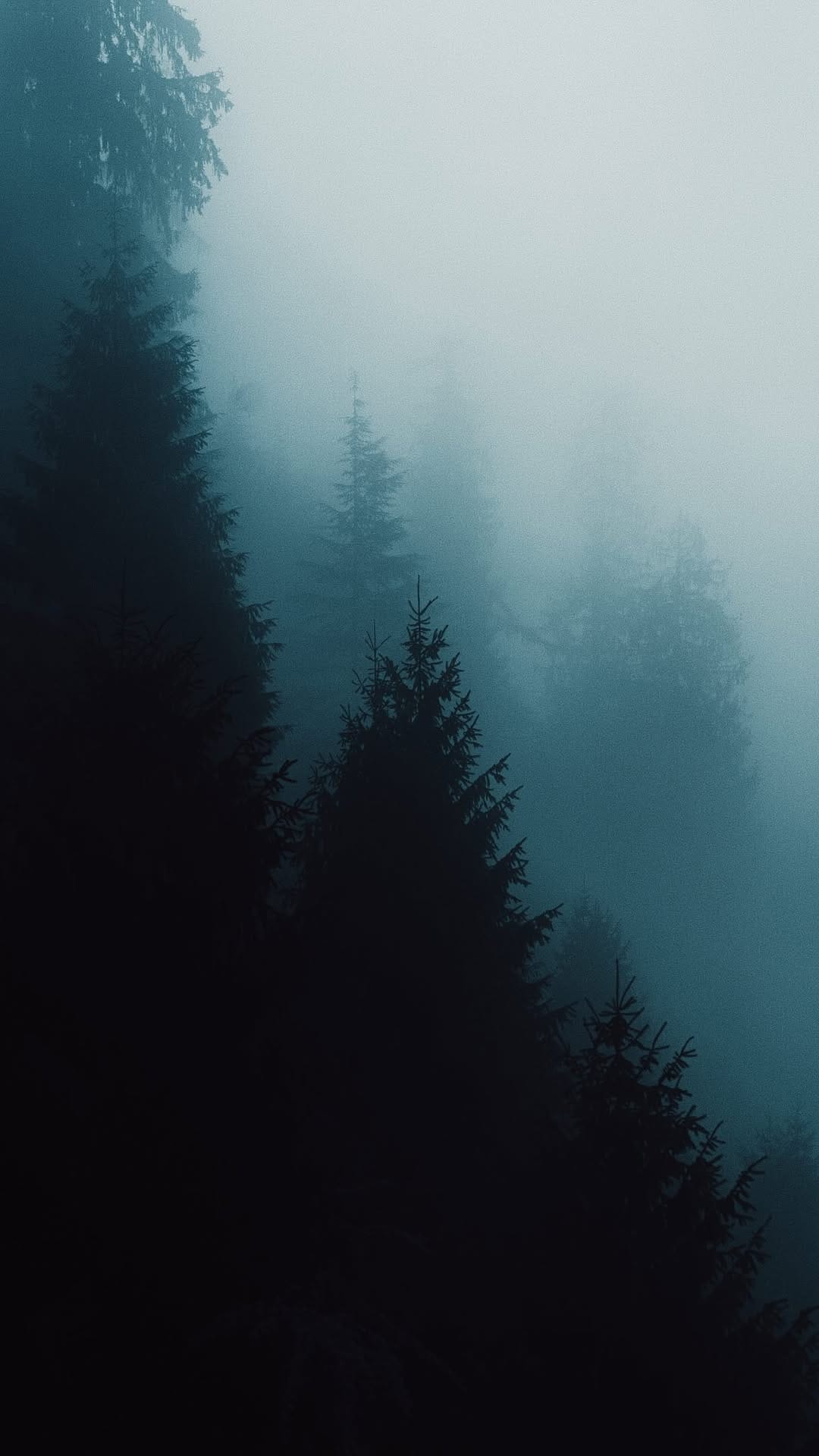Post 3 by Pranav Sp on Instagram (video)
