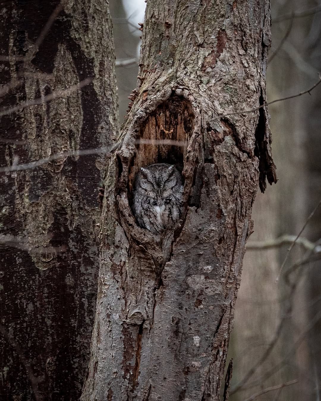 Post 4 by Mike Willey on Instagram (image)