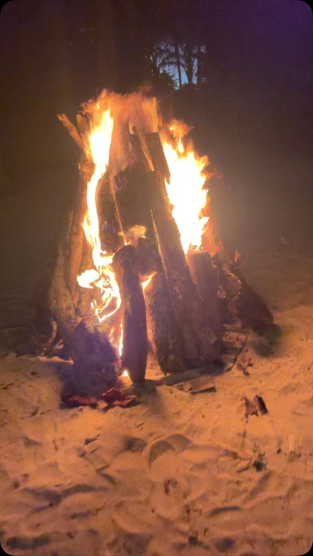 Post 3 by Ricardo Bonnet on Instagram (video)