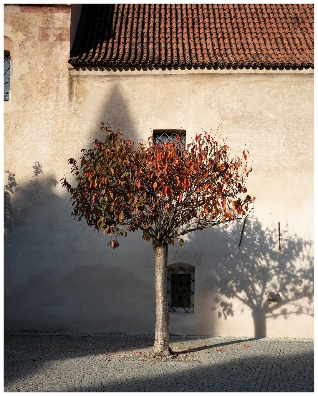 Post 8 by Lorenzo Serafini on Instagram (image)