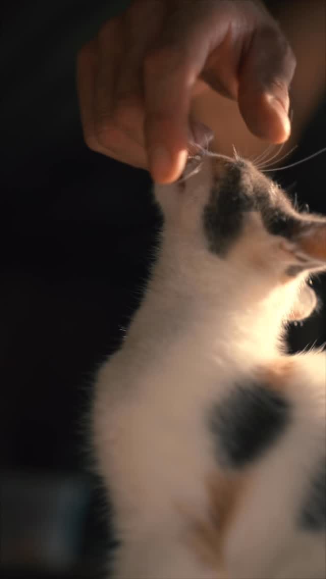 Post 6 by Riccardo Gatti on Instagram (video)