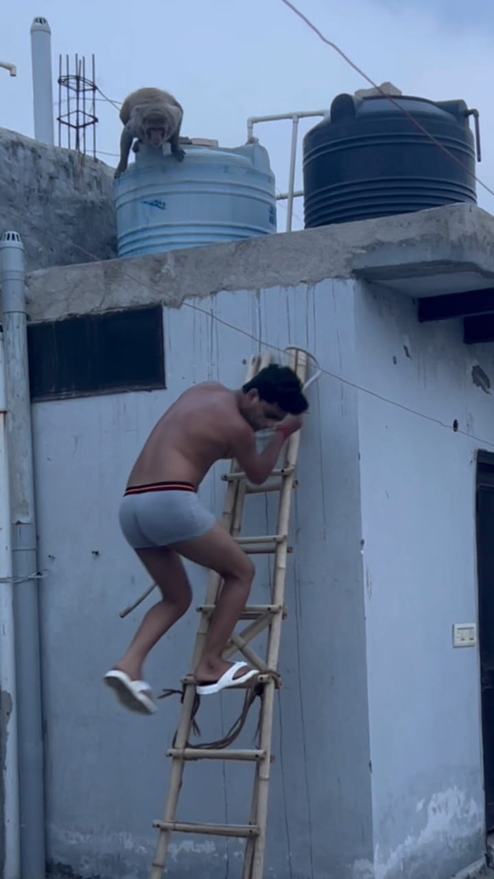 Post 6 by PRANKSTER SACHIN on Instagram (video)