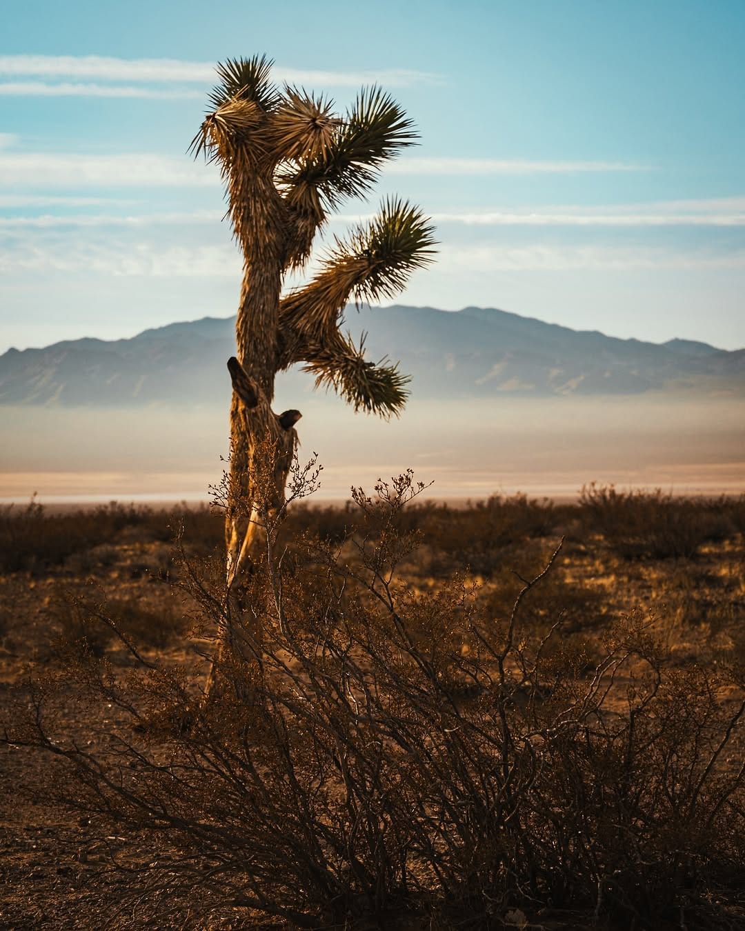 Post 7 by Izak Jackson on Instagram (image)
