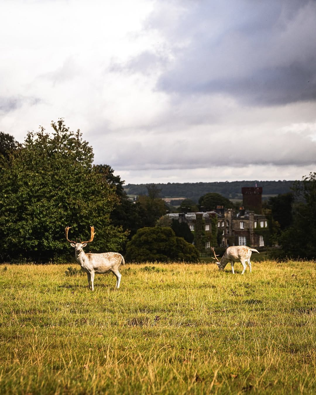 Post 2 by Izak Jackson on Instagram (image)