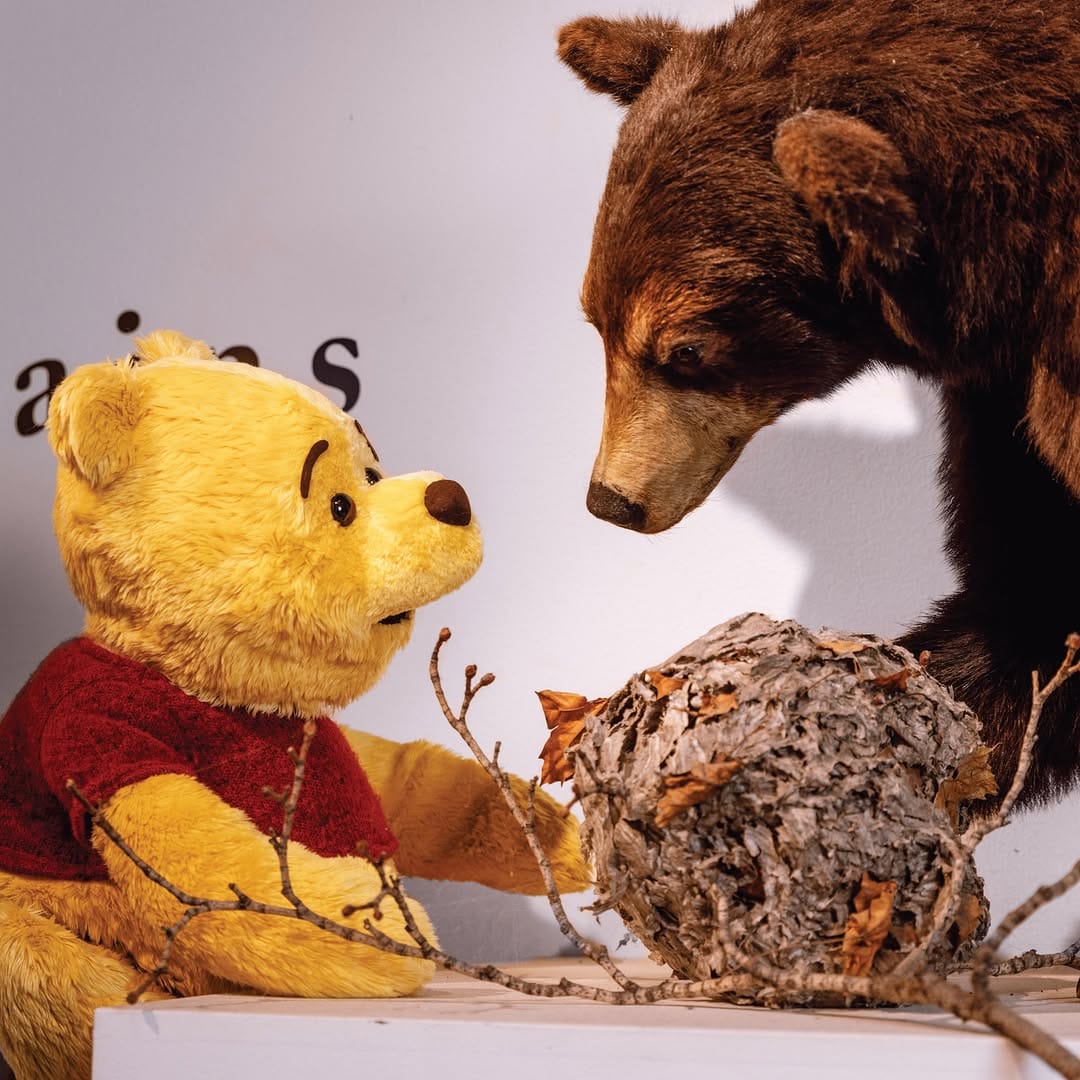 Post 3 by Disney's Winnie the Pooh Show on Instagram (image)