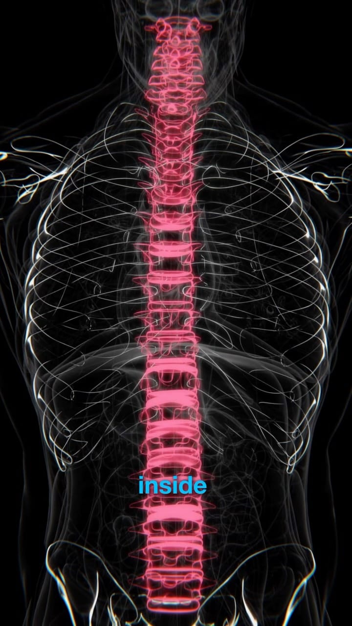 Post 8 by Physio MSK on Instagram (video)