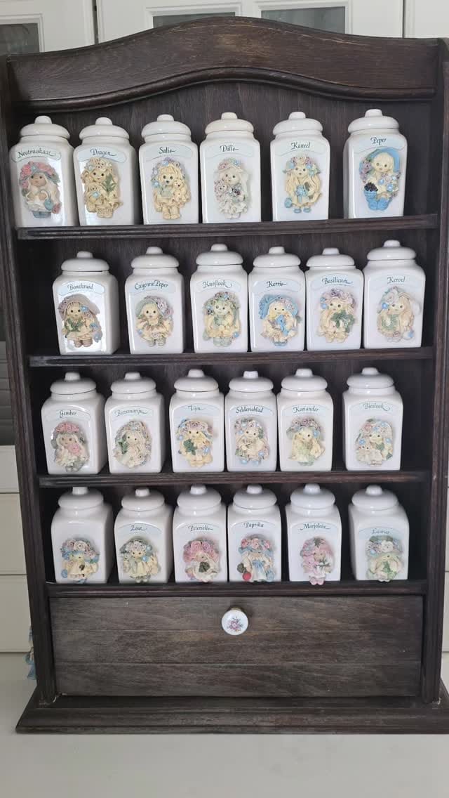 Post 7 by Marjolein Bakker van Zanden on Instagram (video)
