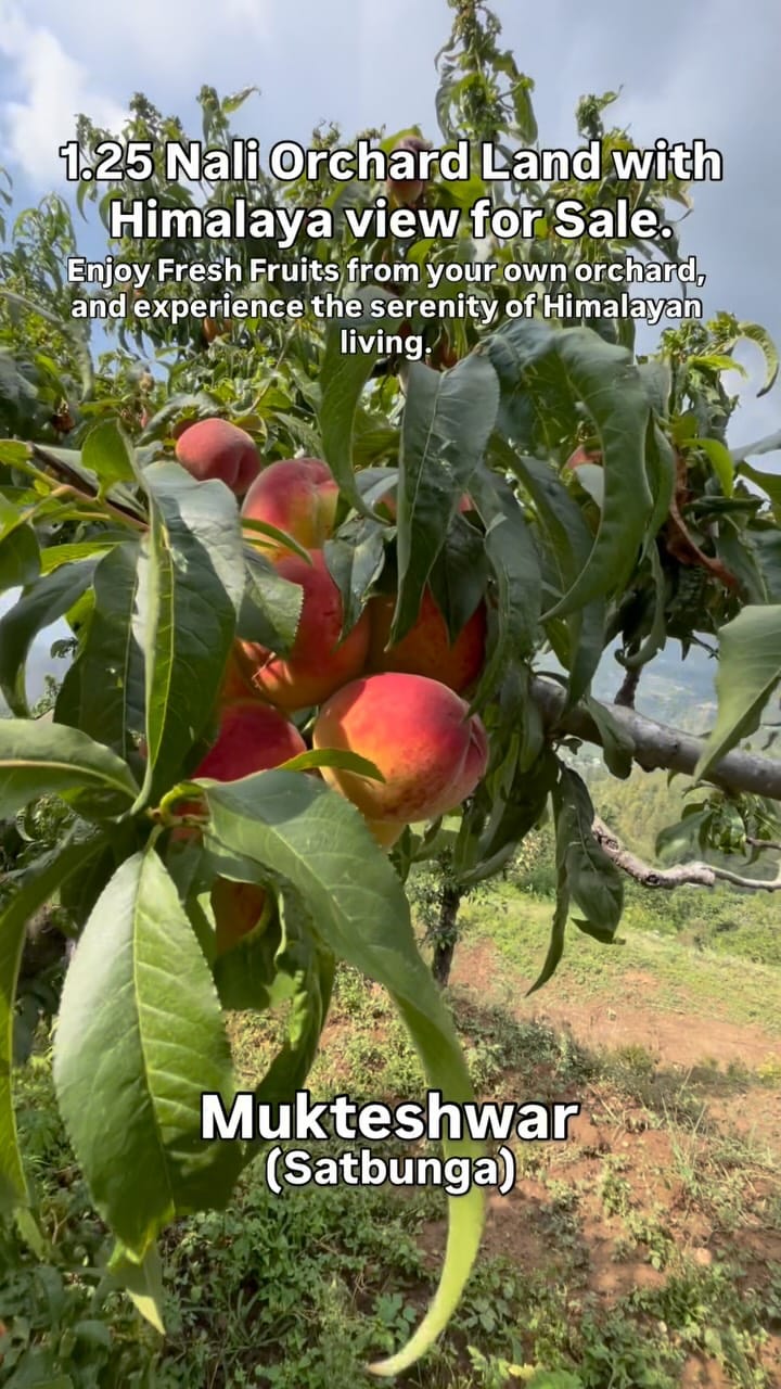 Post 6 by Thehealinghills on Instagram (video)