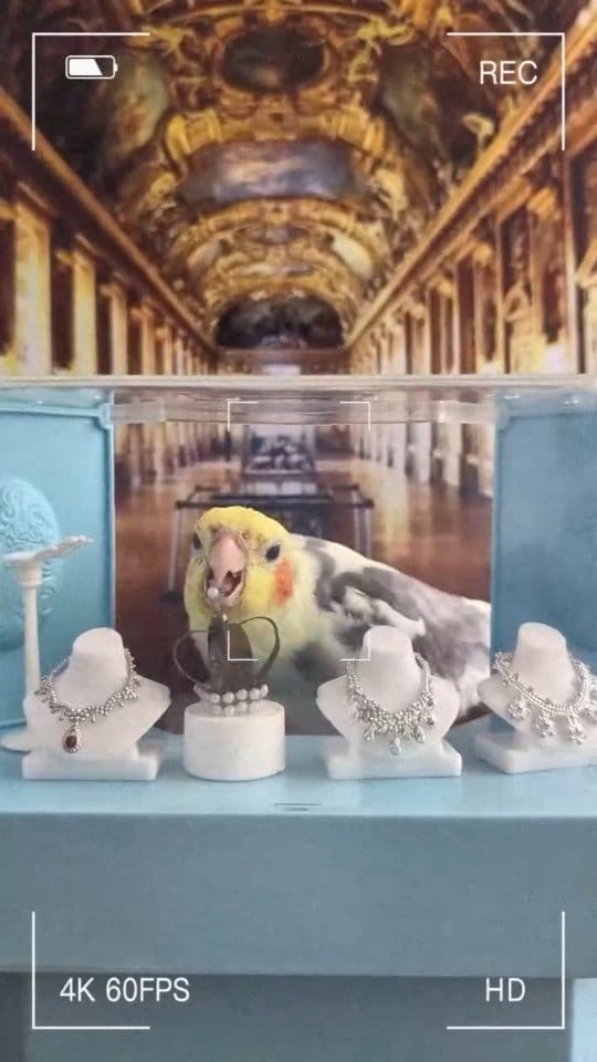 Post 2 by mr.Lubitsch on Instagram (video)