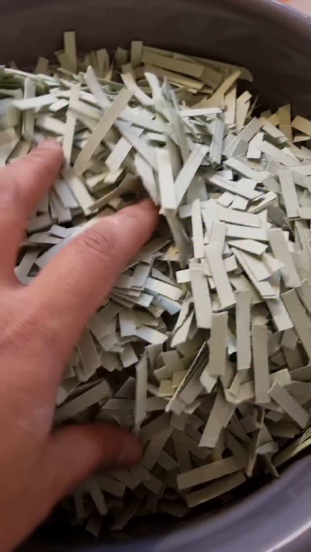 Post 9 by Paper Pan on Instagram (video)