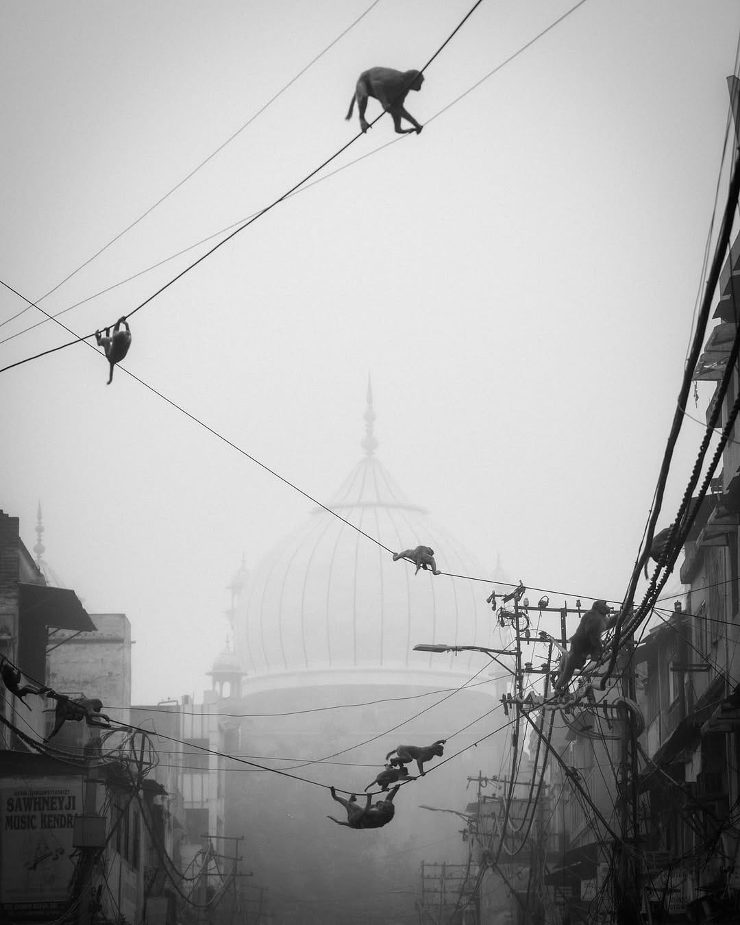 Post 8 by Ashfaq Ahmad | Travel Photographer & Filmmaker | India on Instagram (carousel)