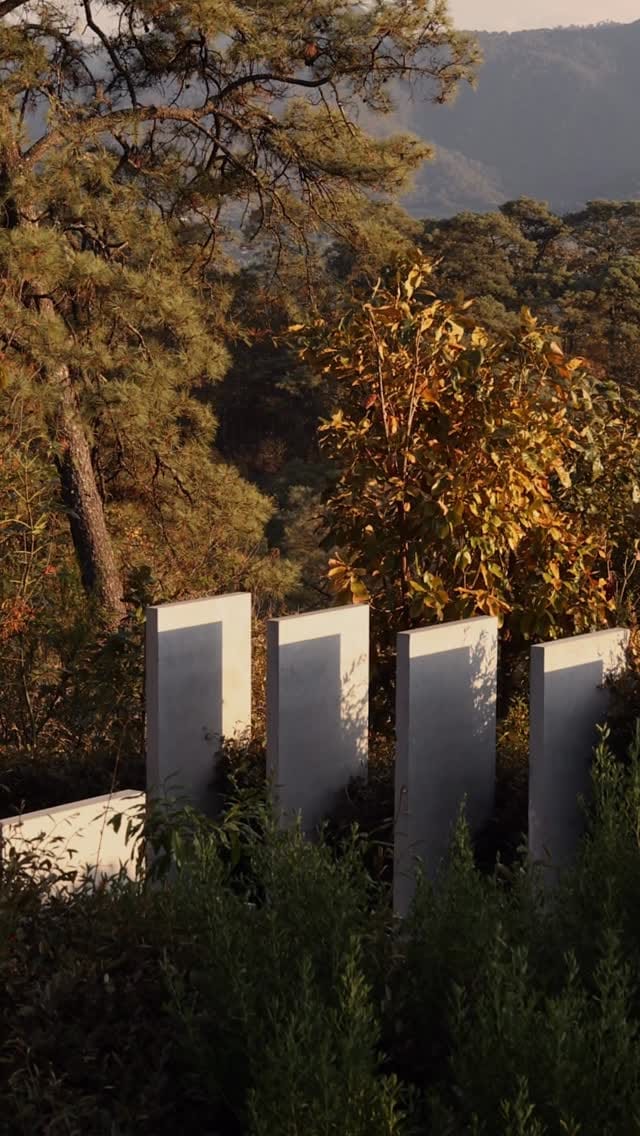 Post 5 by Manuel Cervantes on Instagram (video)