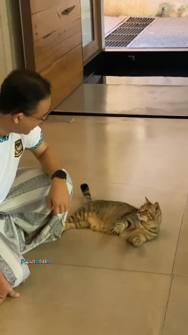 Post 5 by Pawswedan Family on Instagram (video)