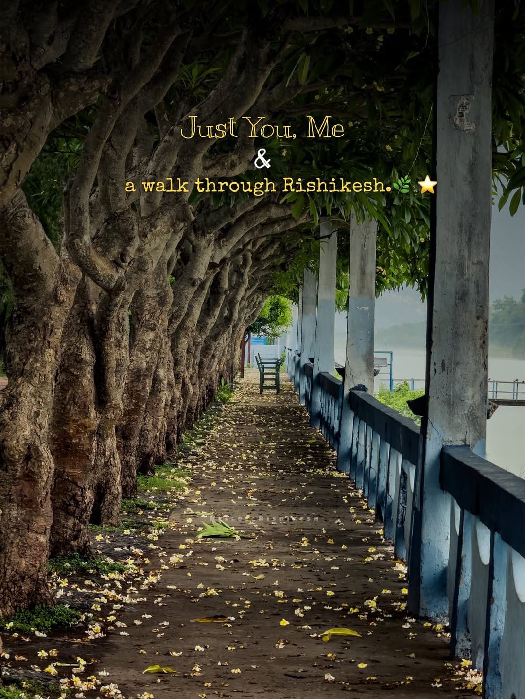 Post 4 by Hello_Rishikesh on Instagram (image)