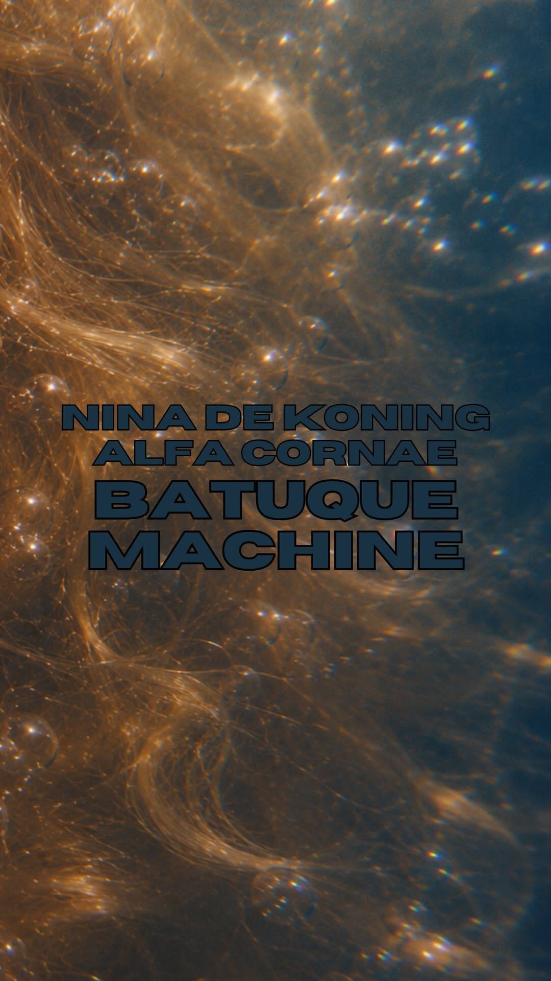 Post 9 by Nina de Koning on Instagram (video)