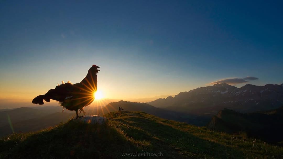 Post 10 by Levi Fitze on Instagram (image)