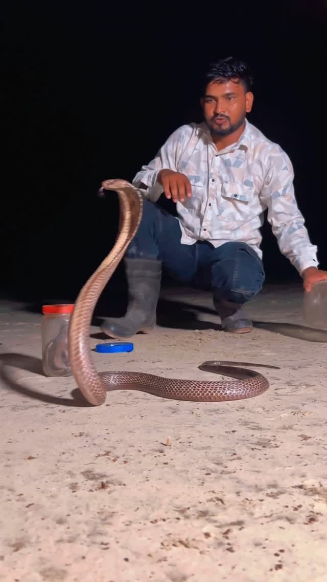 Post 10 by Sarpmitra Neeraj Prajapat on Instagram (video)