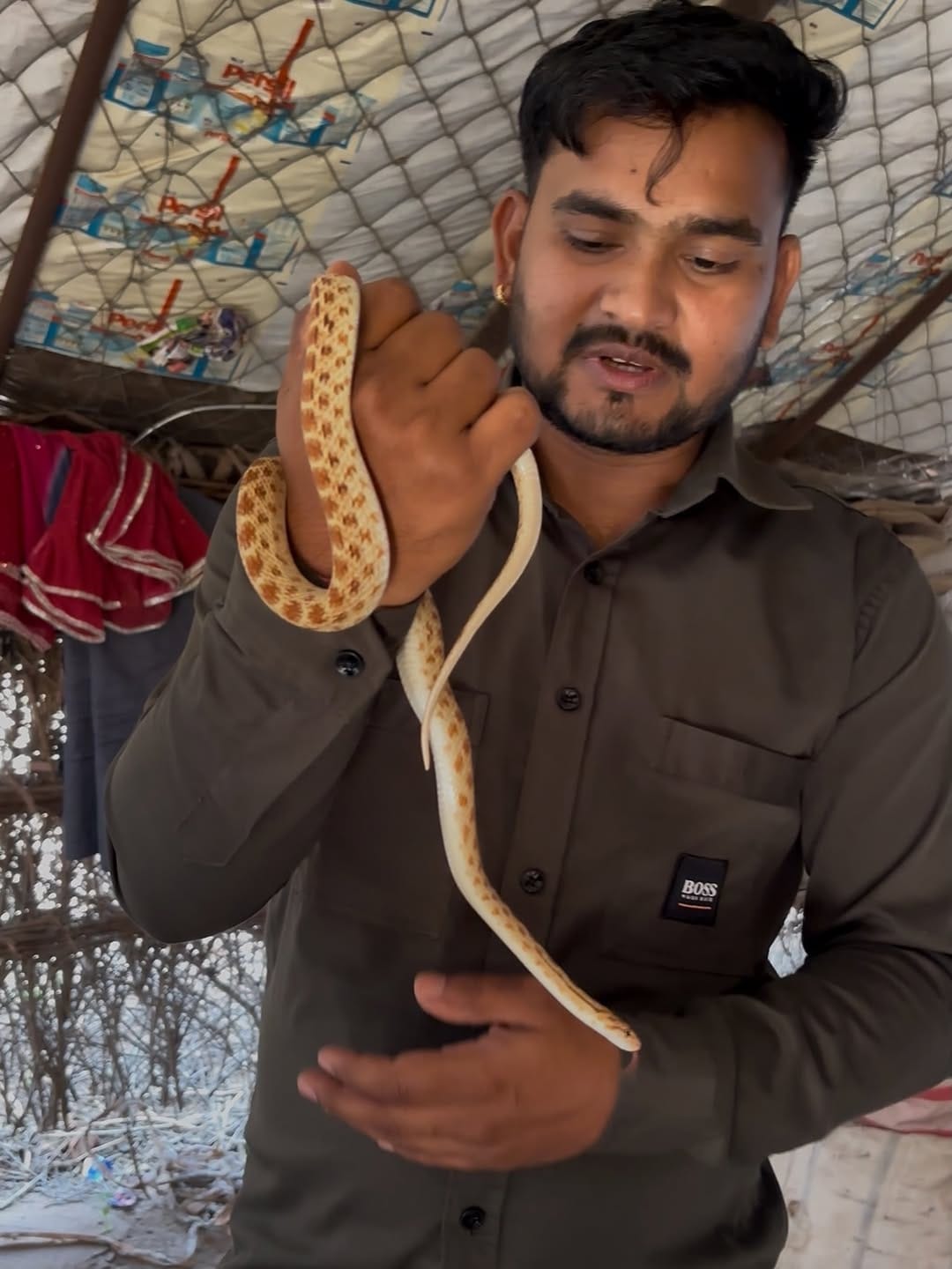 Post 6 by Sarpmitra Neeraj Prajapat on Instagram (carousel)