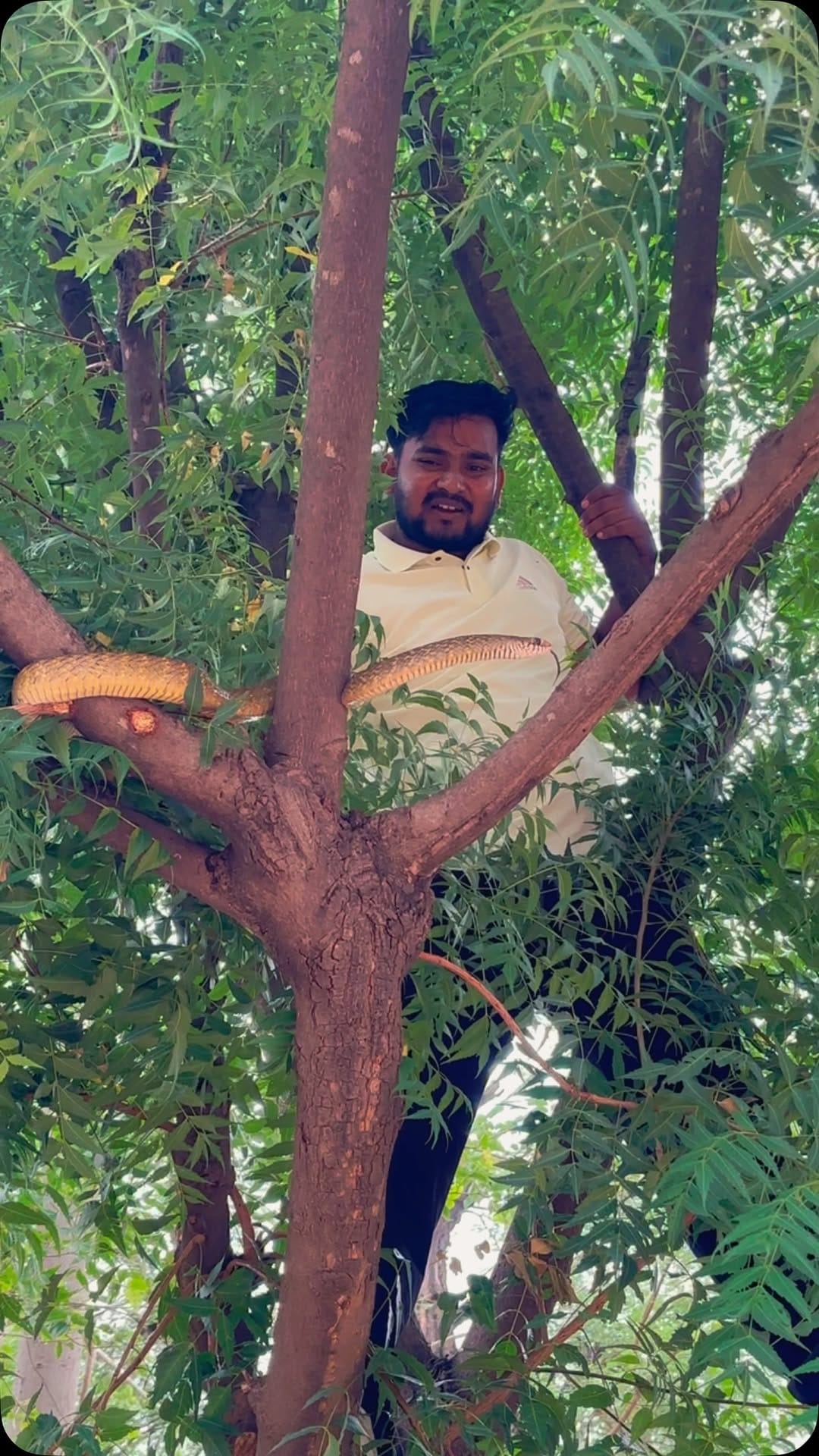 Post 2 by Sarpmitra Neeraj Prajapat on Instagram (video)
