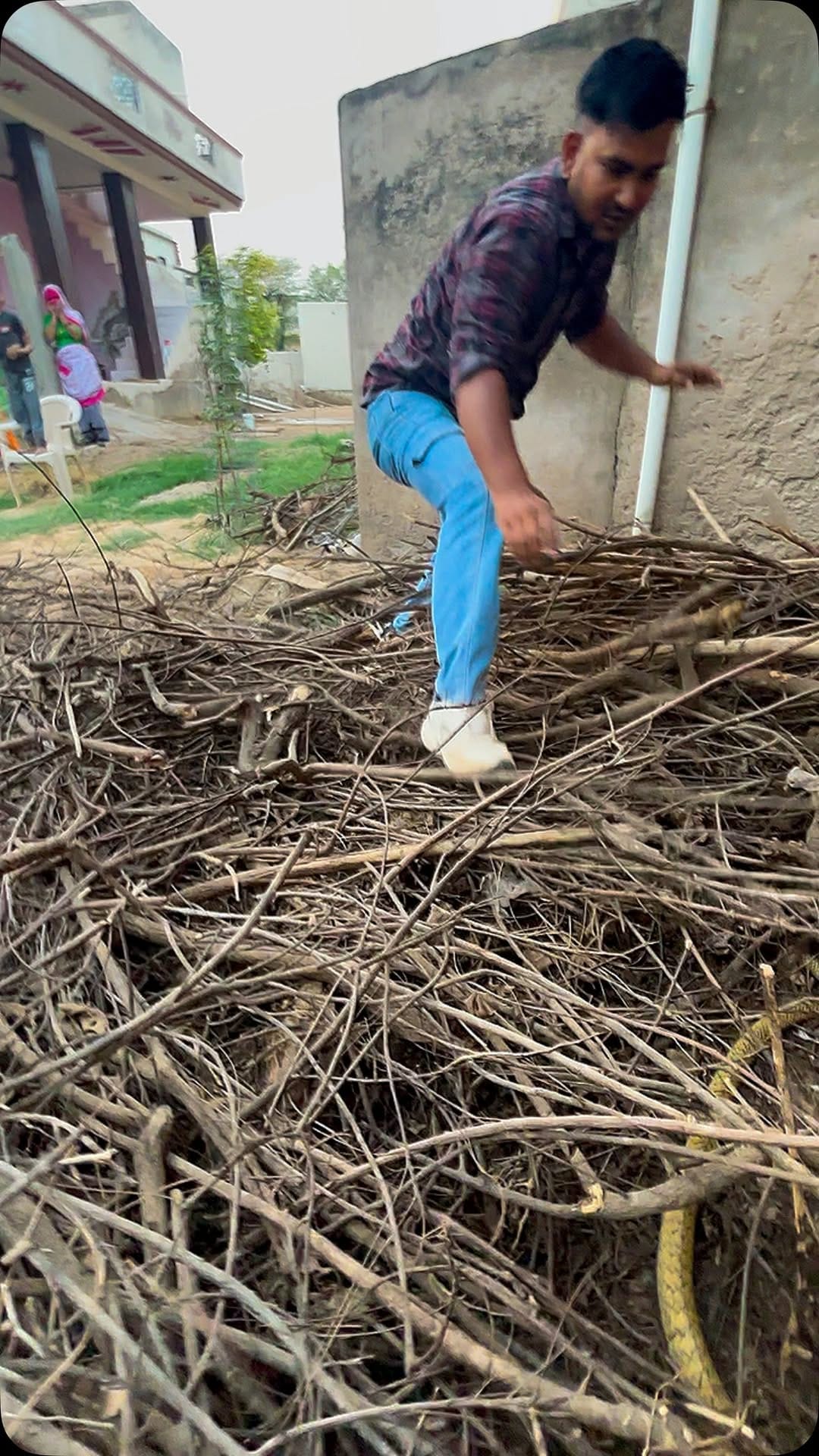 Post 8 by Sarpmitra Neeraj Prajapat on Instagram (video)