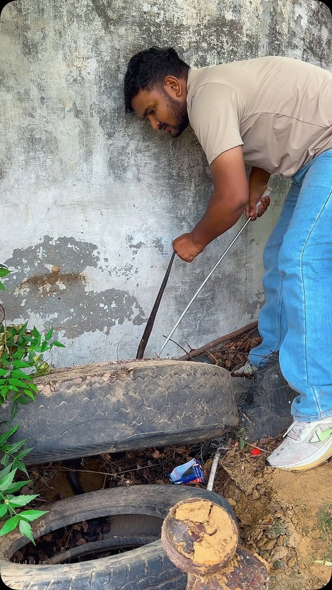 Post 1 by Sarpmitra Neeraj Prajapat on Instagram (video)