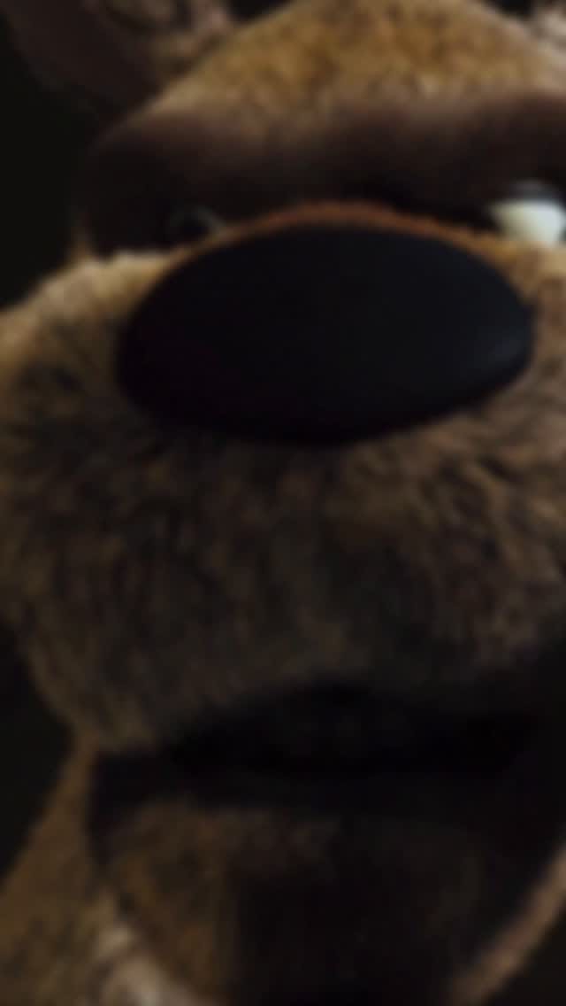 Post 2 by Pedru on Instagram (video)