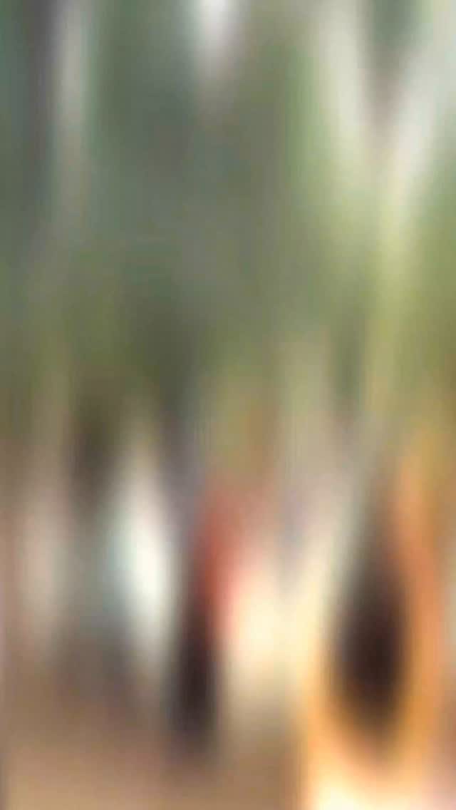 Post 7 by Sahdev Dirdo on Instagram (video)