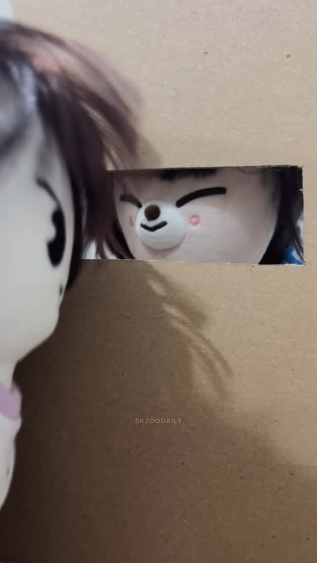 Post 9 by REALSKZOO on Instagram (video)
