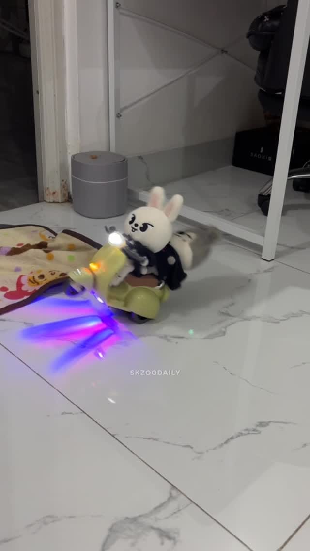 Post 8 by REALSKZOO on Instagram (video)