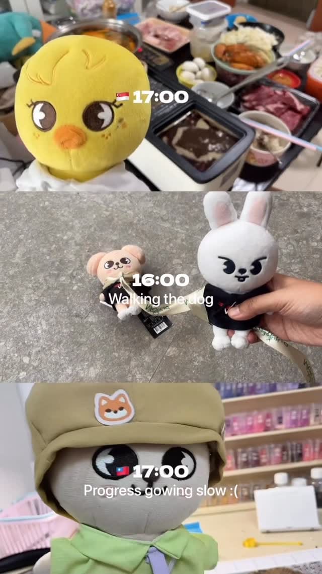 Post 2 by REALSKZOO on Instagram (video)