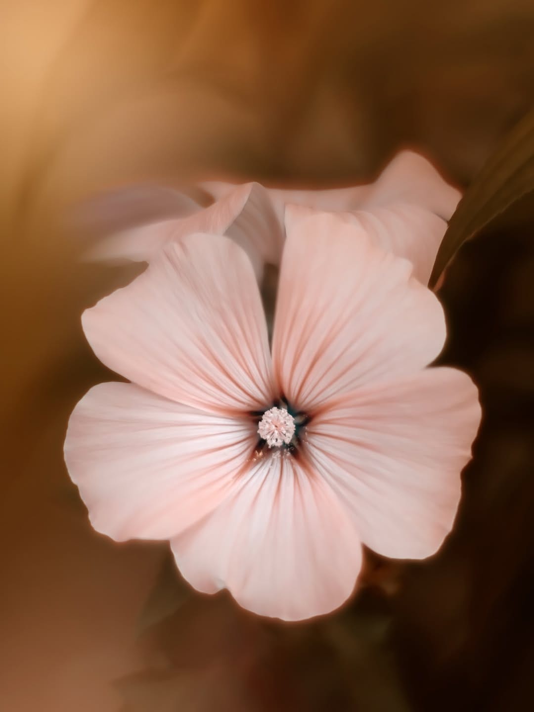 Post 1 by Doreen Albrecht | Photography on Instagram (image)