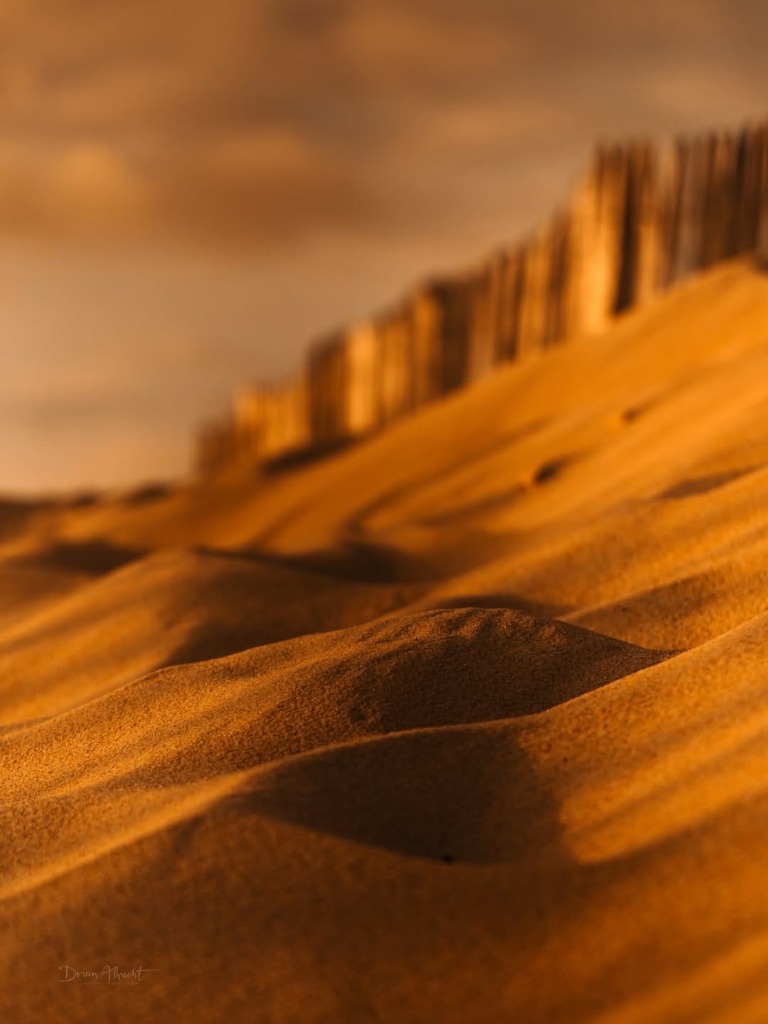 Post 4 by Doreen Albrecht | Photography on Instagram (carousel)