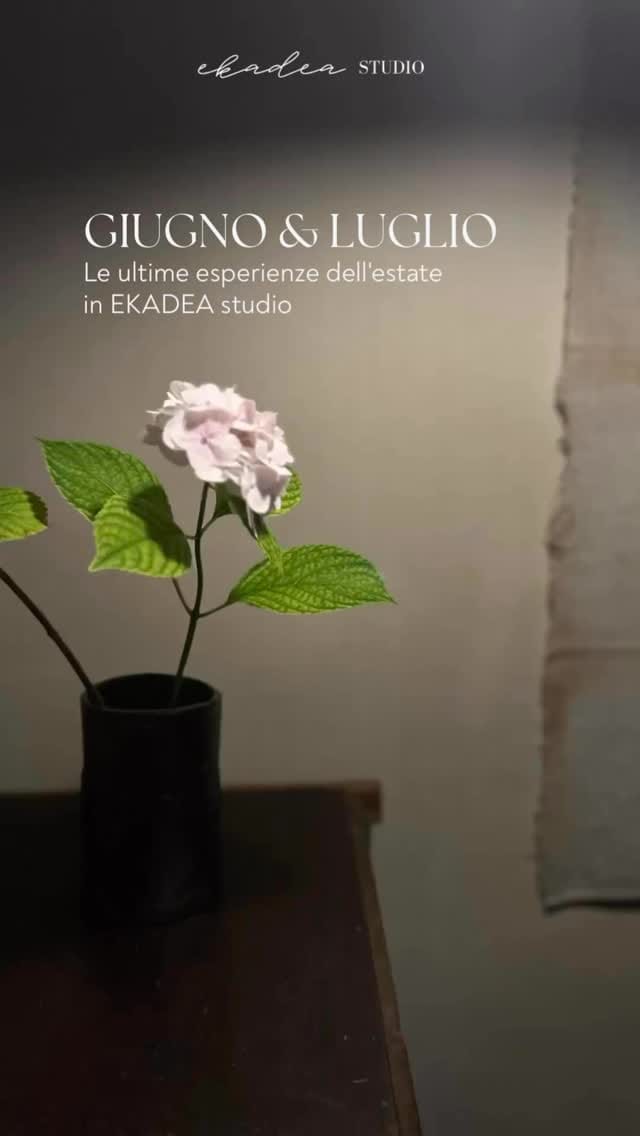 Post 6 by Ekadea studio/ Ekaterina De Andreis on Instagram (video)