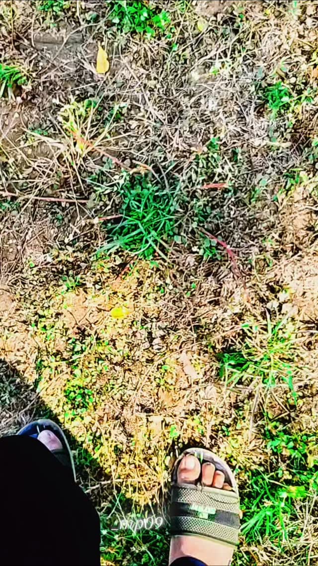 Post 6 by Ashish Chouhan on Instagram (video)