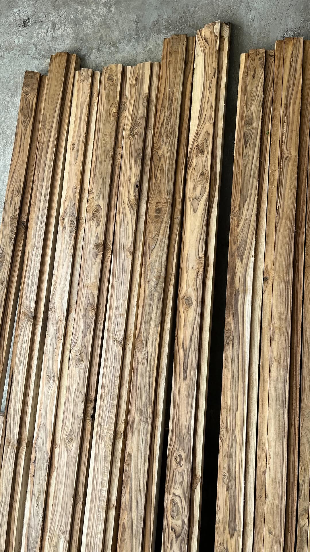 Post 5 by BUGSHAN (INDIA) CONTRACTOR on Instagram (video)