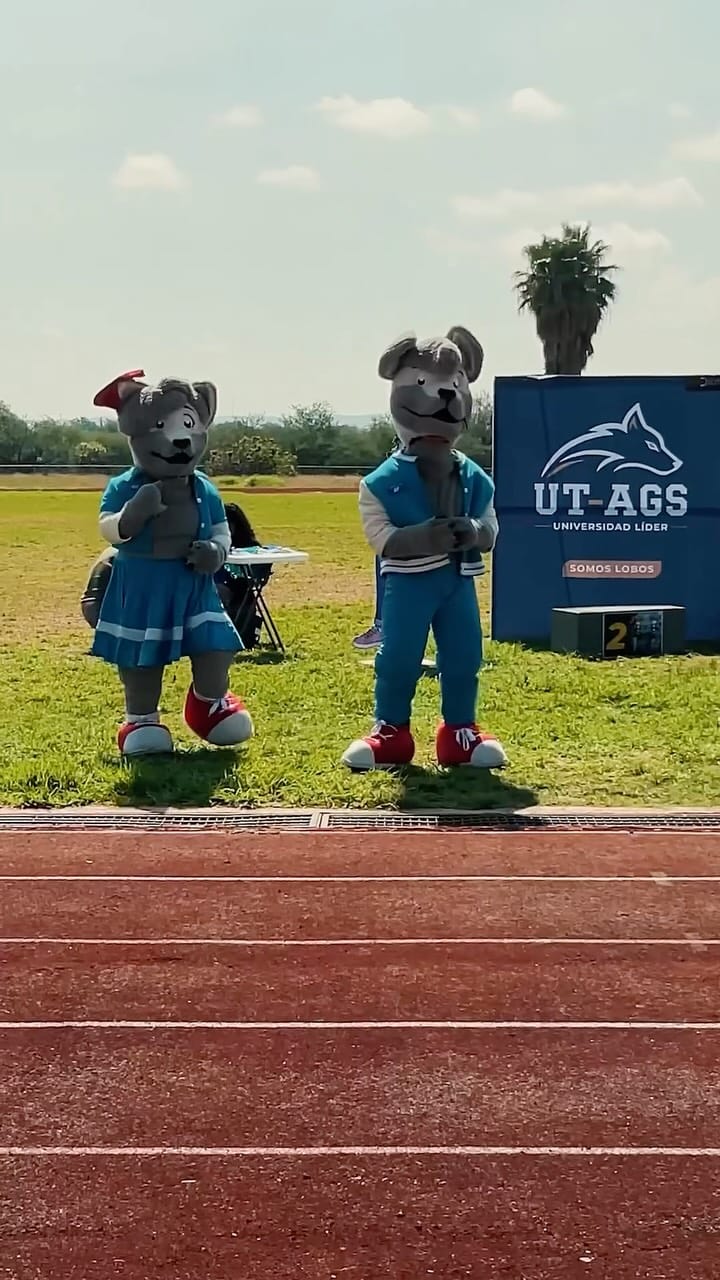 Post 4 by UTAgs on Instagram (video)