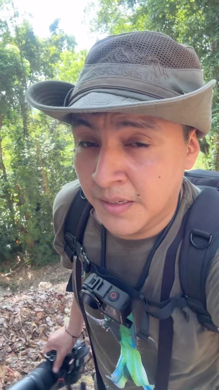Post 4 by Pajareando ando | Vida Silvestre Mexicana 🇲🇽 on Instagram (video)
