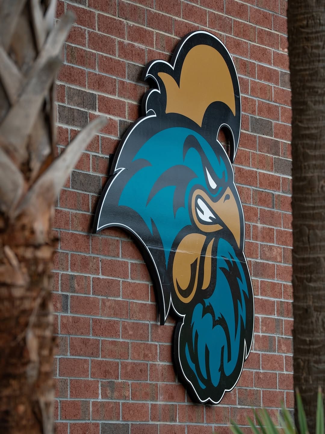 Post 7 by Coastal Carolina University on Instagram (carousel)