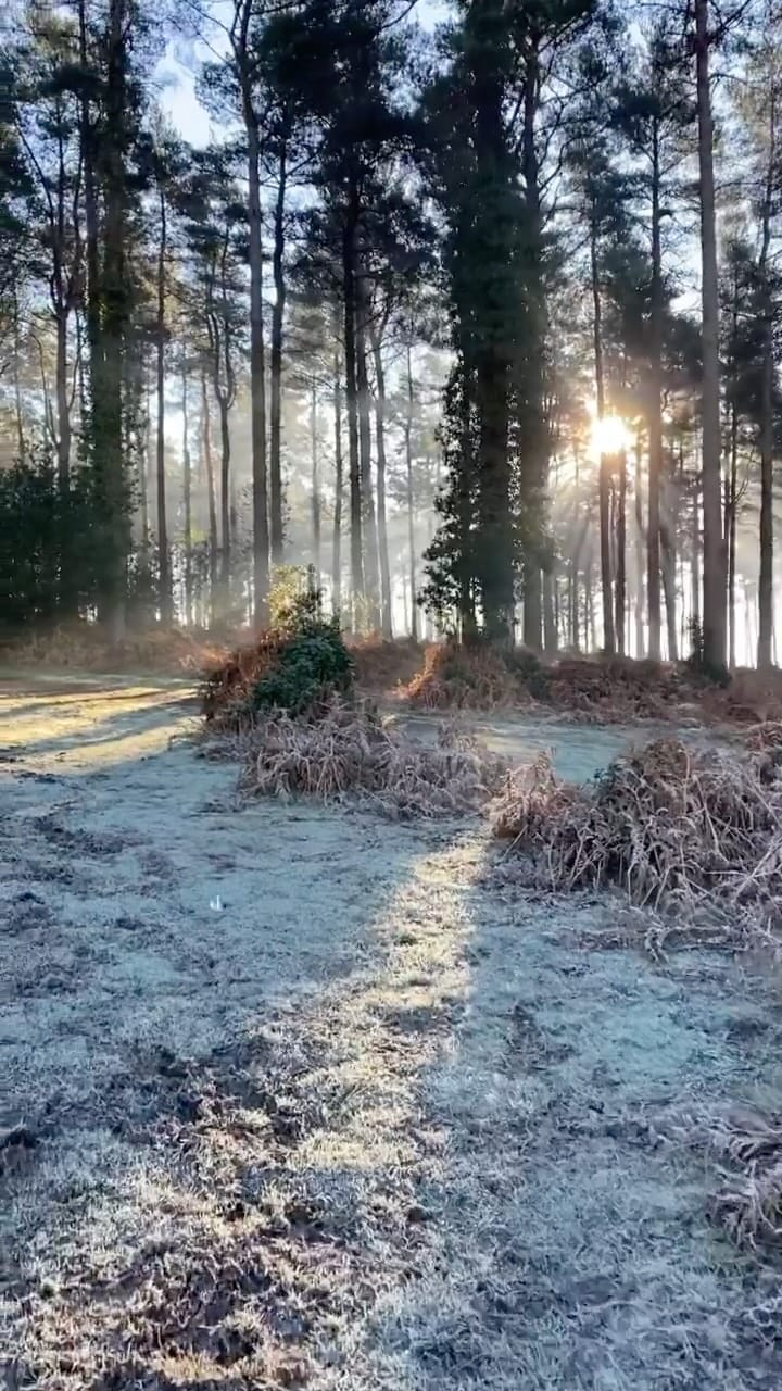 Post 9 by acornsandscapes ~ Newforest Photographer on Instagram (video)