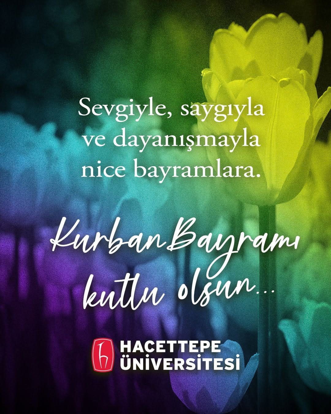 Post 9 by Hacettepe Üniversitesi on Instagram (image)