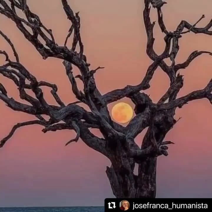 Post 7 by José França on Instagram (video)