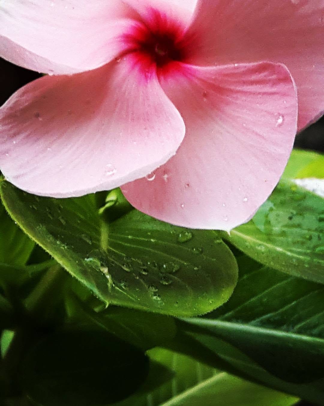 Post 9 by Ywat Thit on Instagram (image)